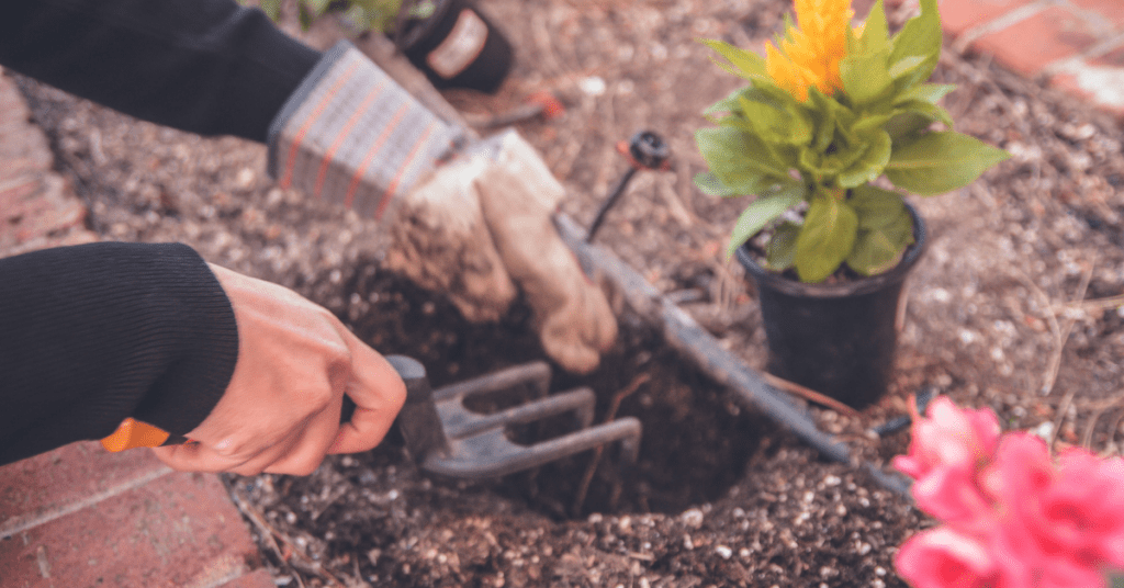manos haciendo agujero con herramientas de jardín