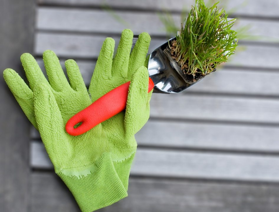 Mantener los guantes de jardinería limpios - Plantas para jardin